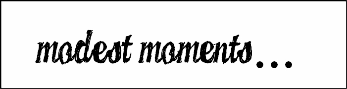 modest moments