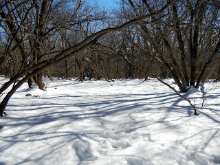 Snow on the Overall Run Trail in Shenandoah National Park