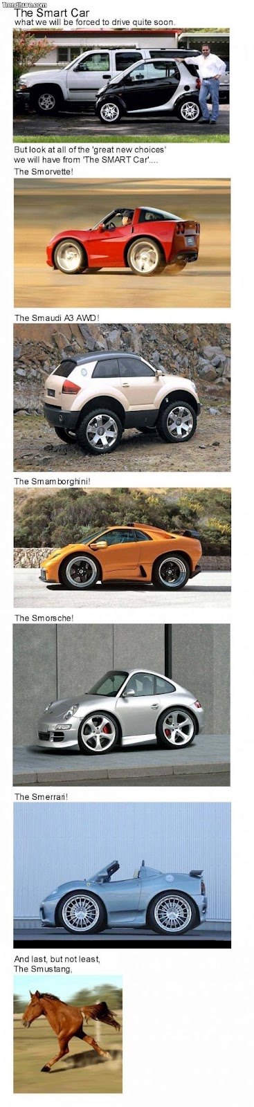 Sting Gha Kurze Autos