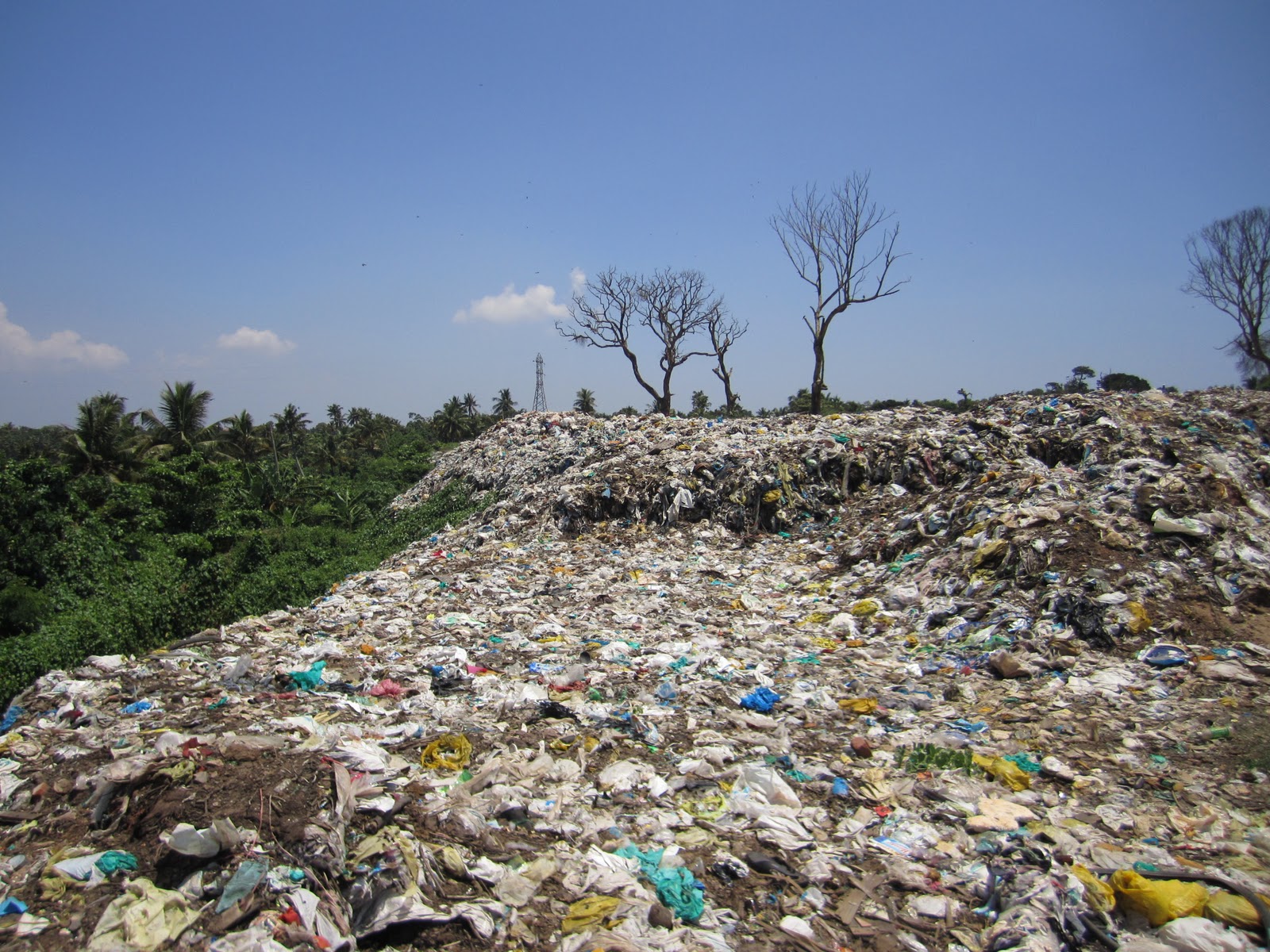 Kureepuzha Dump YardPeople Taken on for Ride by local authorities