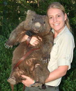 wombats+in+australia.jpg