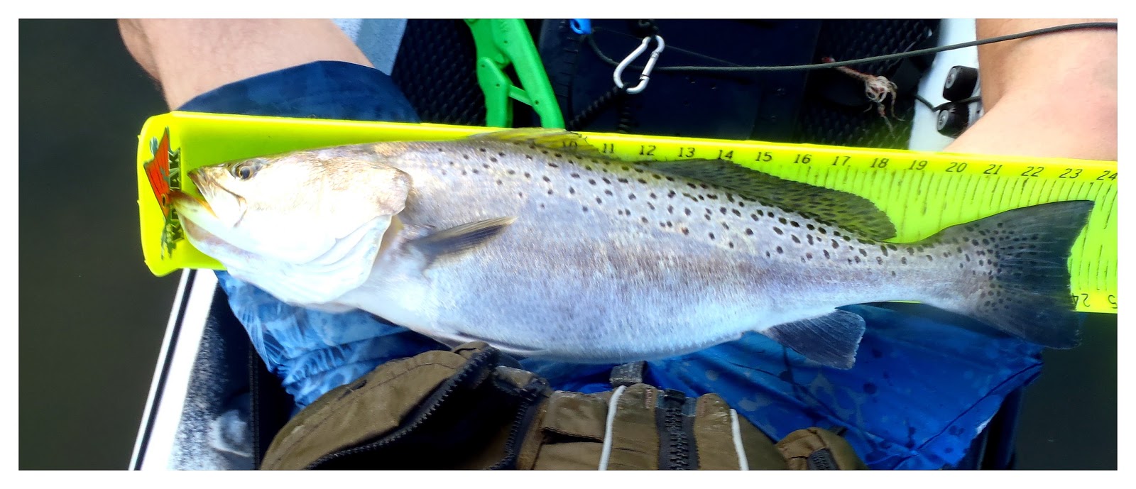 Wind Nudity And A Citation Payne Outdoors