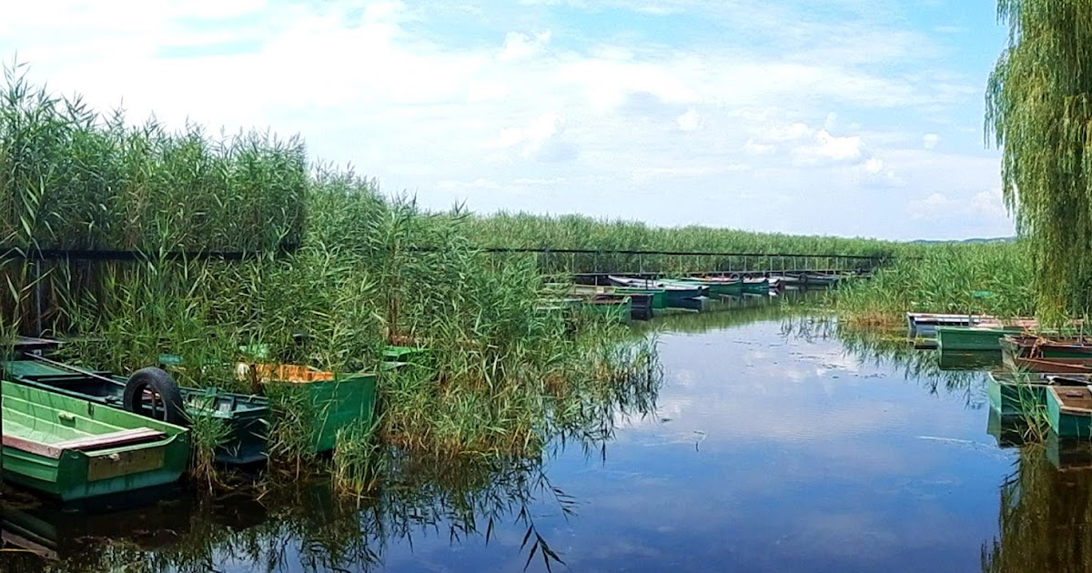 Kiranduloutak Magyarorszagon Velencei To A Csillarka Vizi Tanosveny