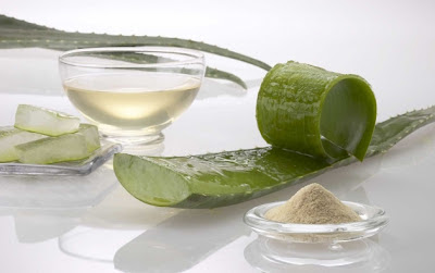 Mel e aloe para tratar queimaduras