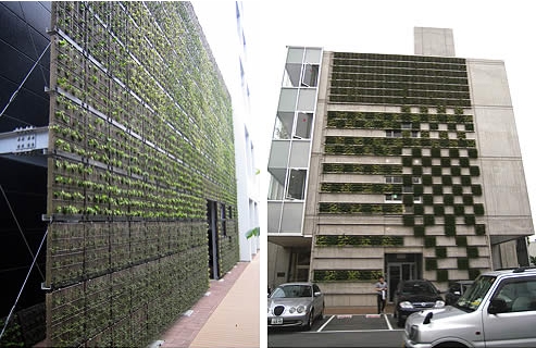 Green Walls Australia
