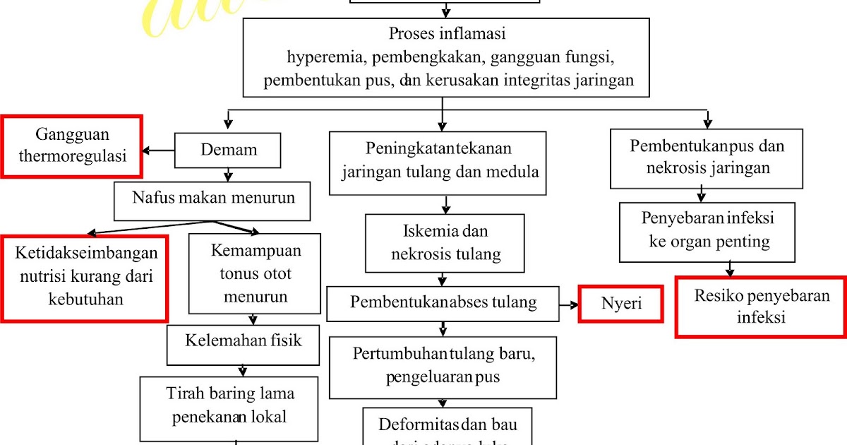 Nursing Path: Pathophysiology of Osteomyelitis| Patofisiologi Osteomilitis