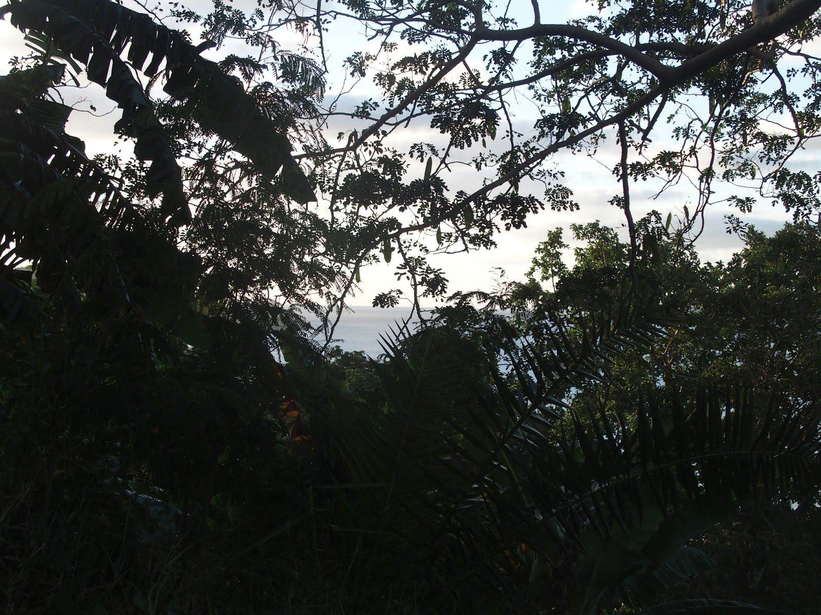 rencontres foumbouni