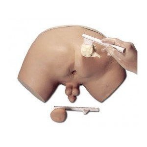 Prostata Untersuchung Simulator 1029 Euro