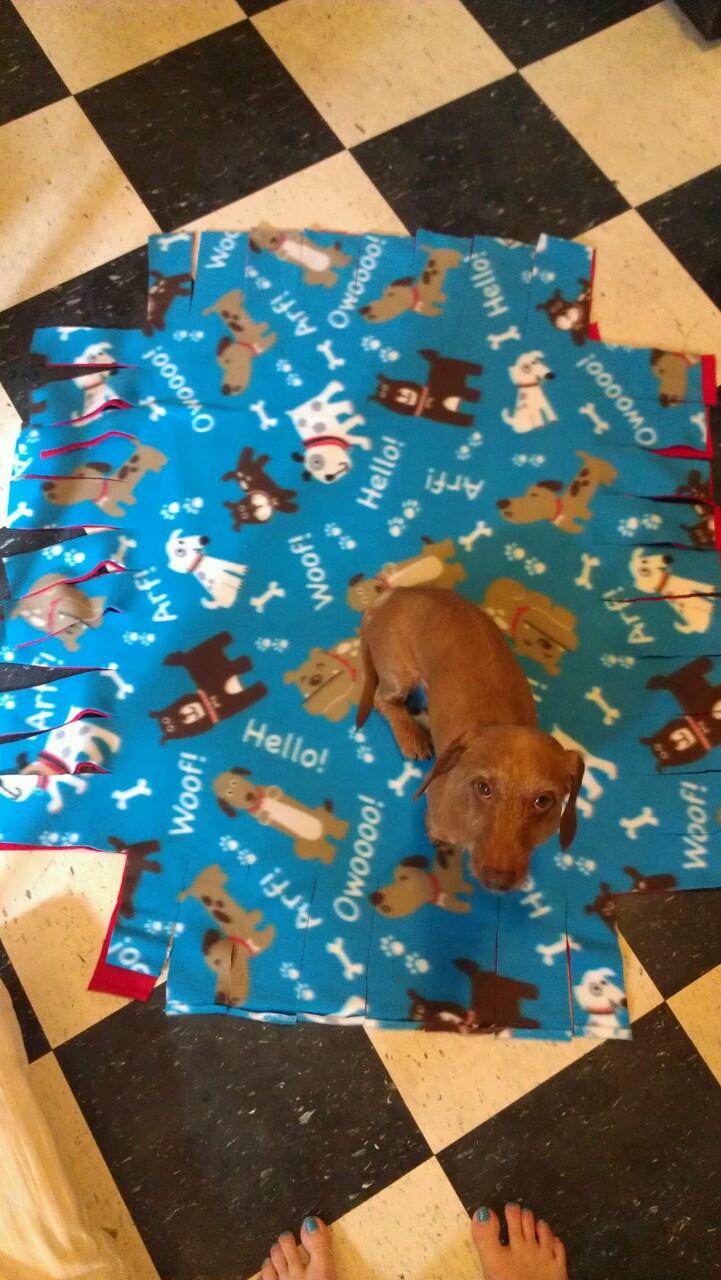 My NoSew Guide to Life NoSewNoStuffing Dog Bed