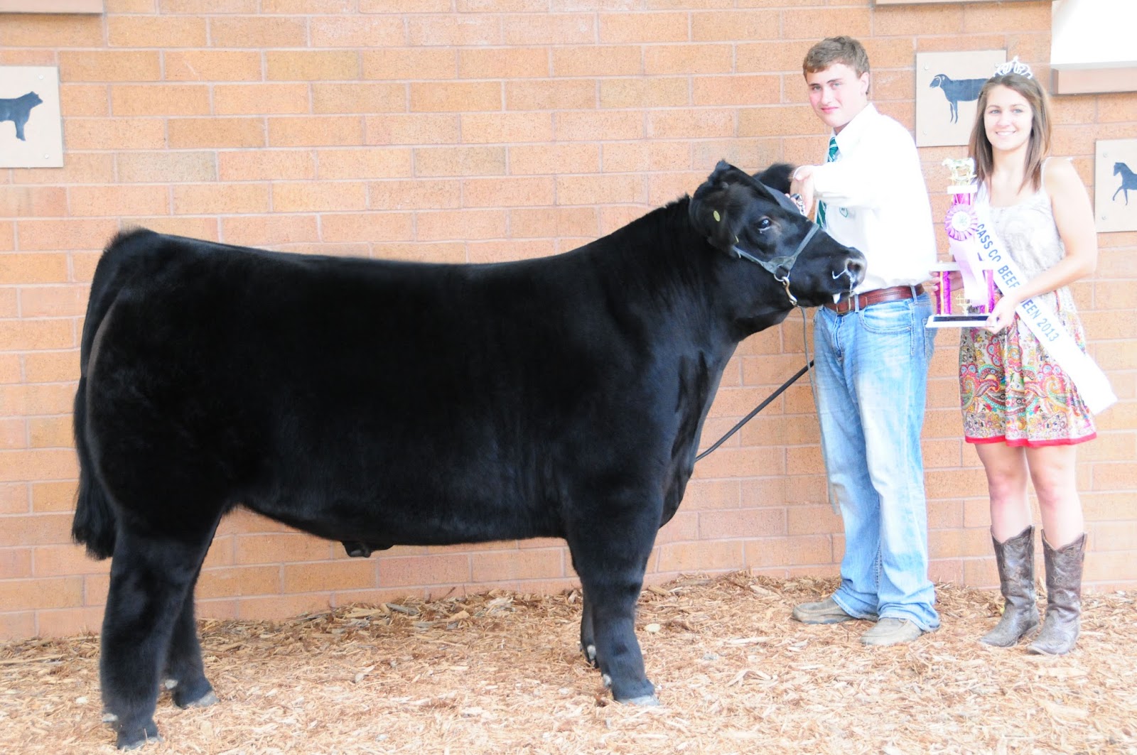 Trausch Farms Cass County Iowa Fair Champion
