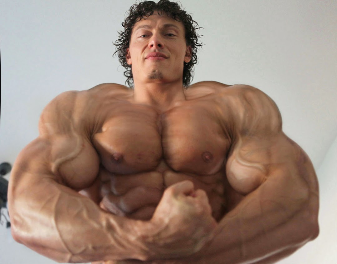 MUSCLE Morphs.