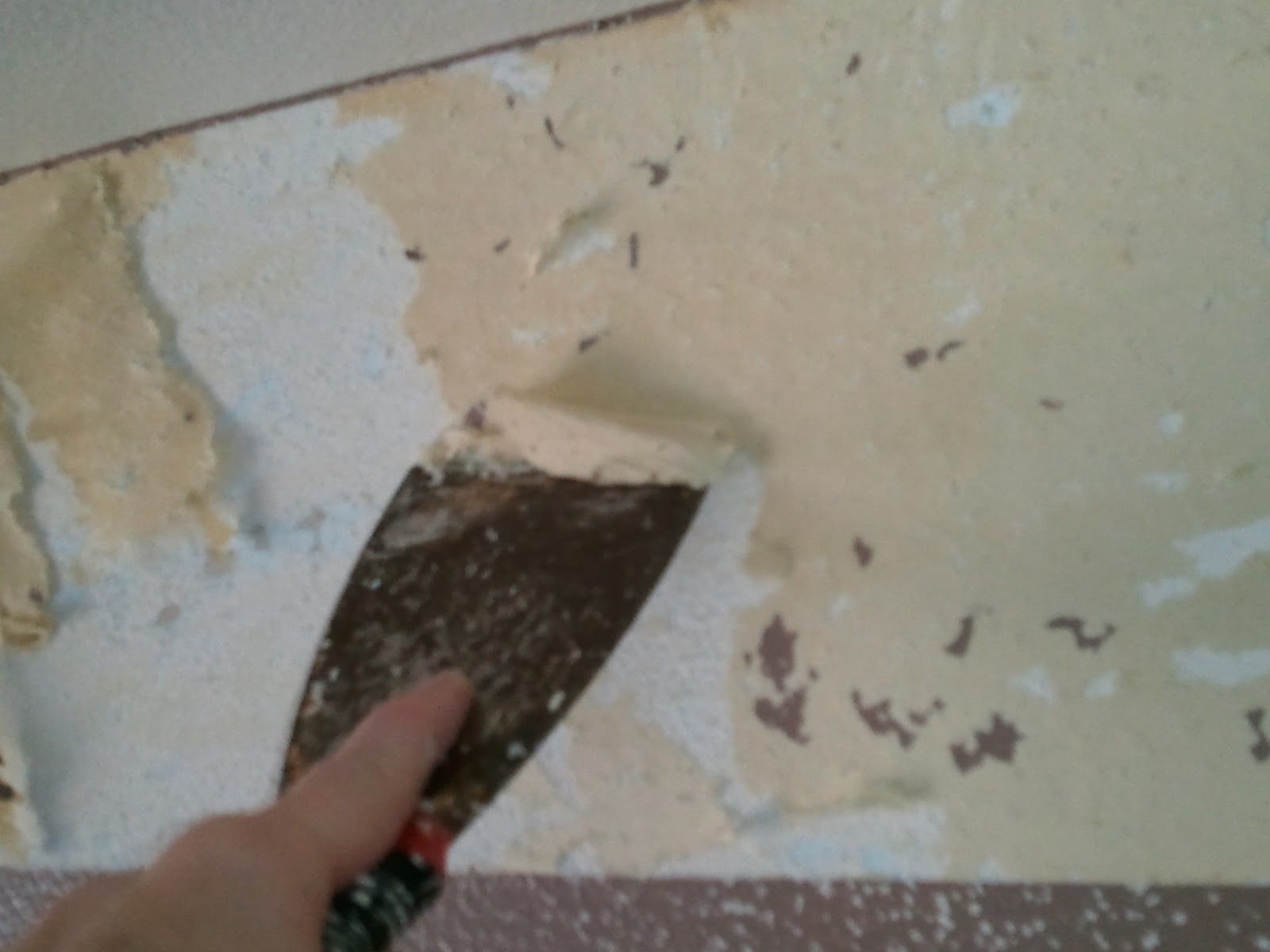 What is Shelly up to now? How to Remove a Wall Border