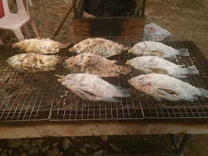 Barbecue Tilapia fish at "Riverside restaurant" on Nam Song river.