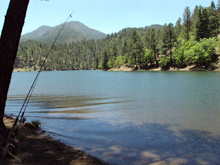 Deb S Travel Adventures