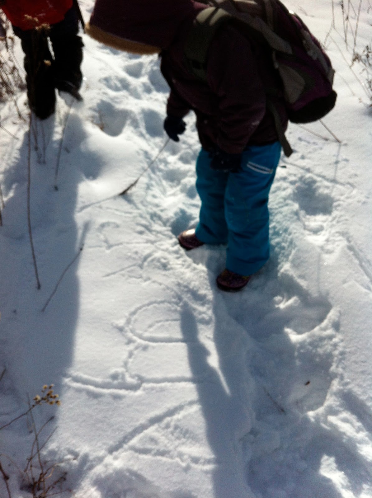 North Branch Nature Center Forest School, in the winter