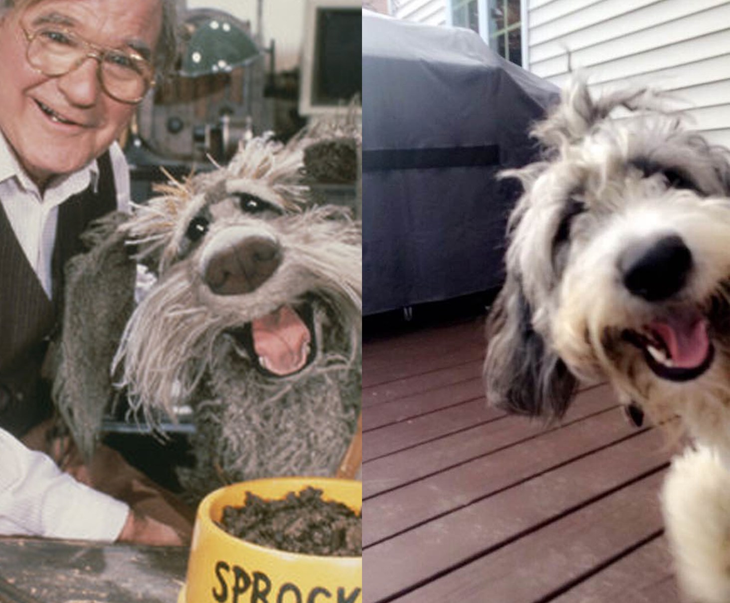 Fraggle Rock Fraggle Rock Dog