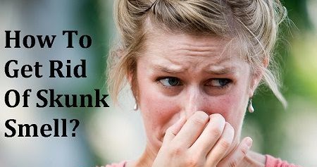 How to get rid of skunk smell in house, Car and Clothes?