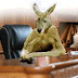 Equal Opportunity to Kangaroo Courts