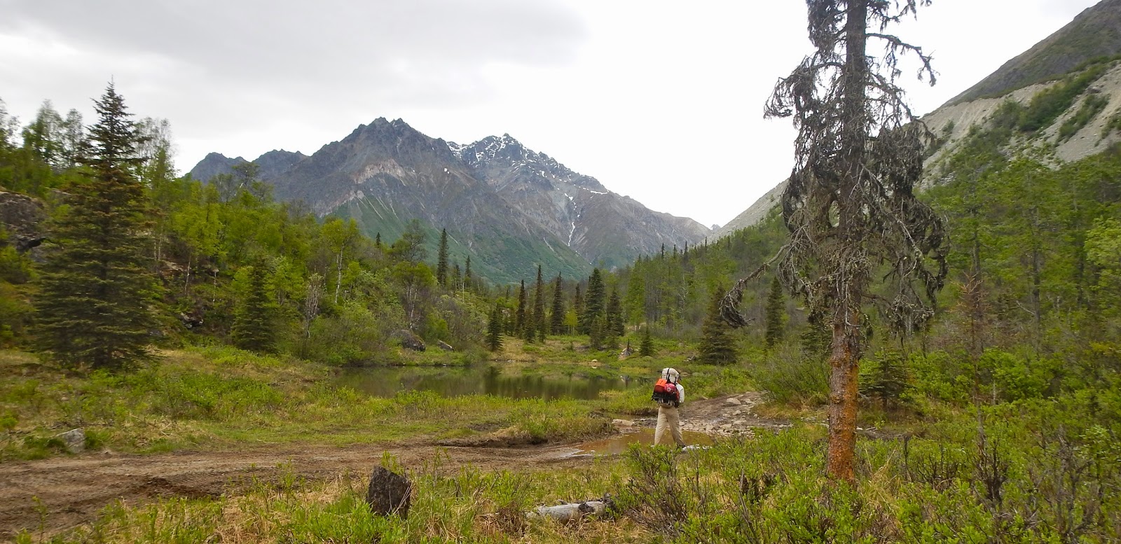 Forrest McCarthy Talkeetna Mountains, Alaska