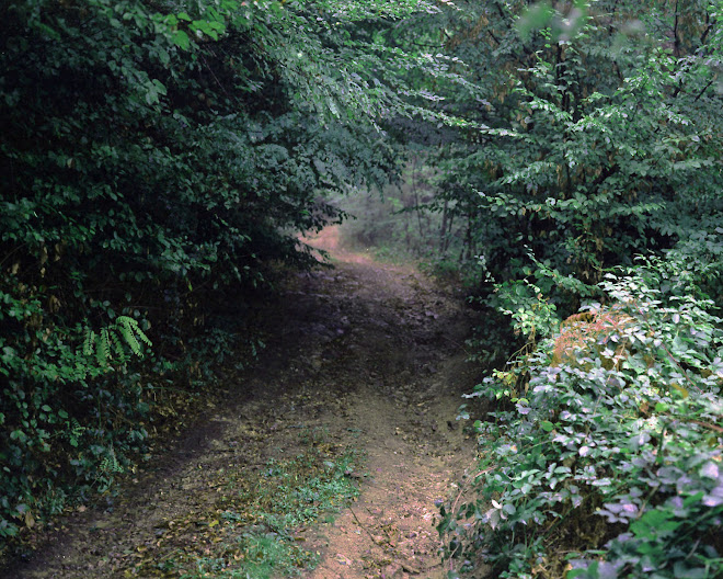 Srebrenica  Octobre  2011