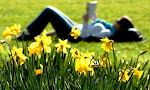 What a joy to lay by the daffodils!