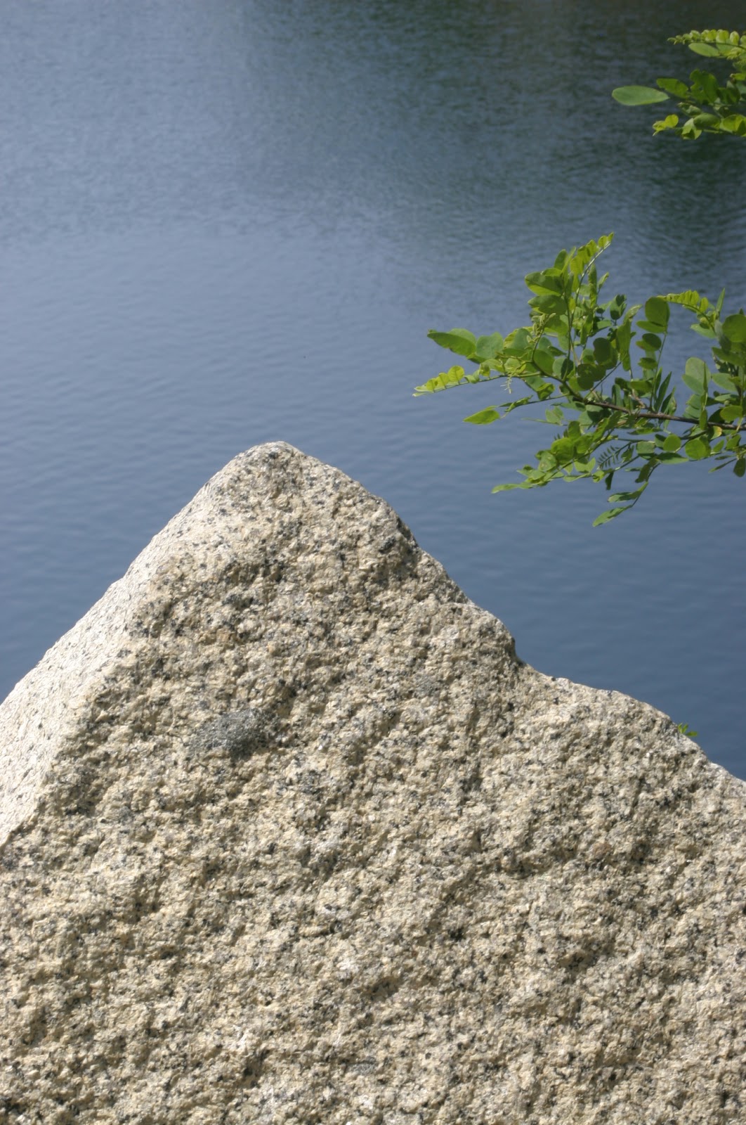 Roaming About Granite Quarry, Halibut Point State Park, Rockport, MA