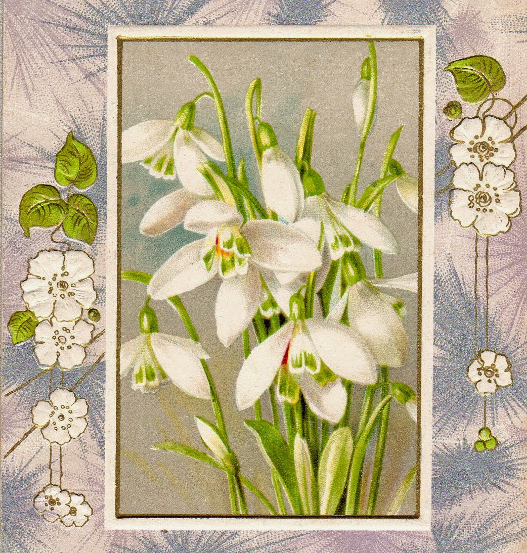 That Thing There Free Vintage Spring Flower Ephemera