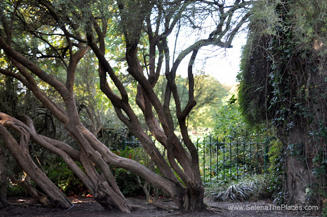 Malahide Castle in Dublin, Ireland