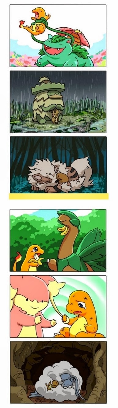 Una bonita historia Pokemon