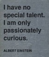 I have no special talent. I am only passionately curious. Albert Einstein