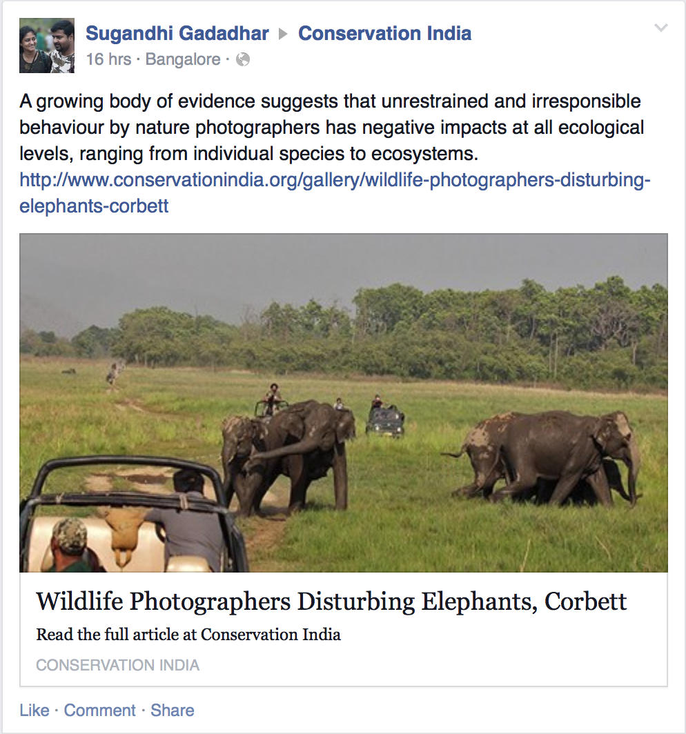 Photographers Are A Soft Target For Wannabe Conservationists Before I Tell You What I Think This Trend Is Though The Title Of This Post Is A Give Away Let Me Tell You About The Content That Triggered This Post Writing Services Ma also Thesis Statement In A Narrative Essay Essay In English