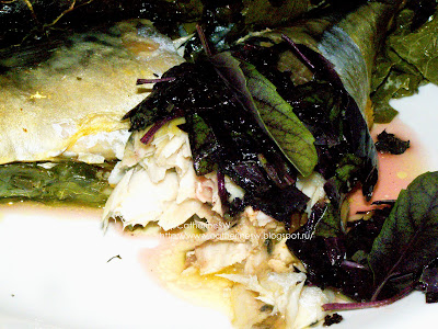 скумбрия в виноградных листьях рецепт. Смотреть фото скумбрия в виноградных листьях рецепт. Смотреть картинку скумбрия в виноградных листьях рецепт. Картинка про скумбрия в виноградных листьях рецепт. Фото скумбрия в виноградных листьях рецепт скумбрия в виноградных листьях рецепт. Смотреть фото скумбрия в виноградных листьях рецепт. Смотреть картинку скумбрия в виноградных листьях рецепт. Картинка про скумбрия в виноградных листьях рецепт. Фото скумбрия в виноградных листьях рецепт