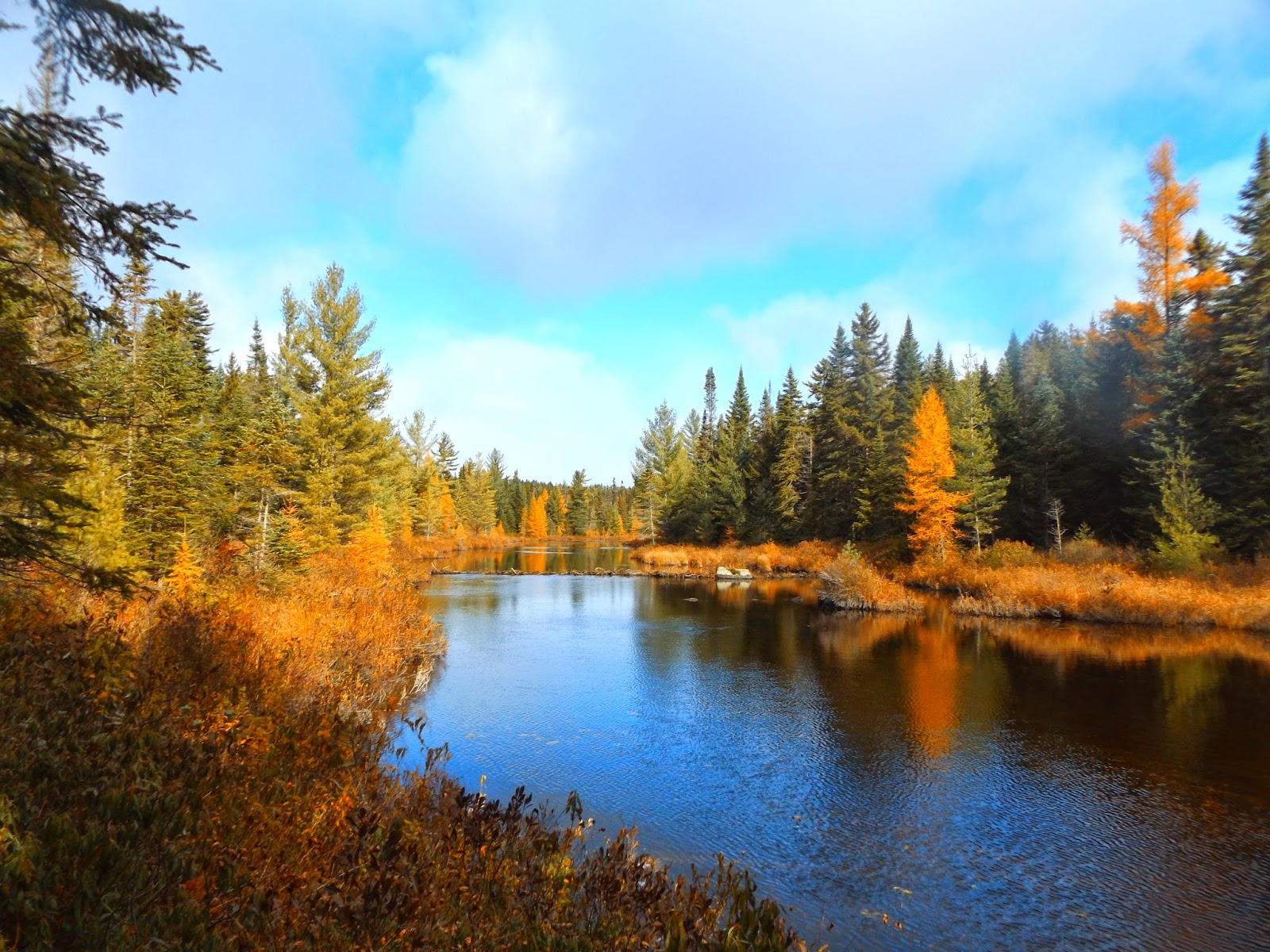 Walking Man 24 7 Wolf Pond(Adirondacks)
