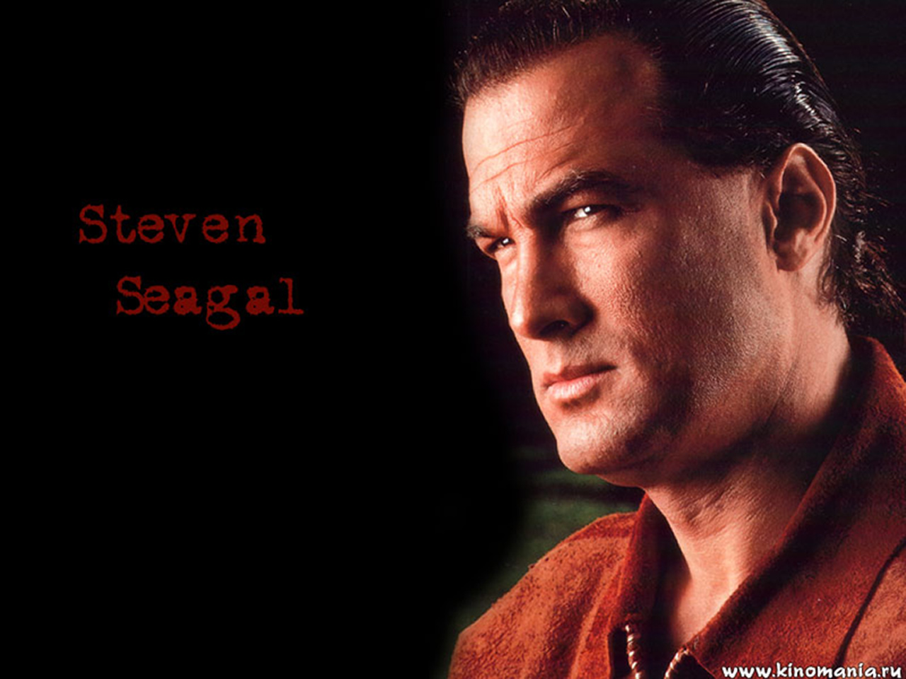 http://1.bp.blogspot.com/-Cl0PQCwDnn8/ULEDZWyc-ZI/AAAAAAAAB4E/nK--6Mw6WFI/s1600/steven-seagal_1280.jpg