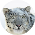 Download OS X snow leopard ISO | OS X snow leopard 10.6
