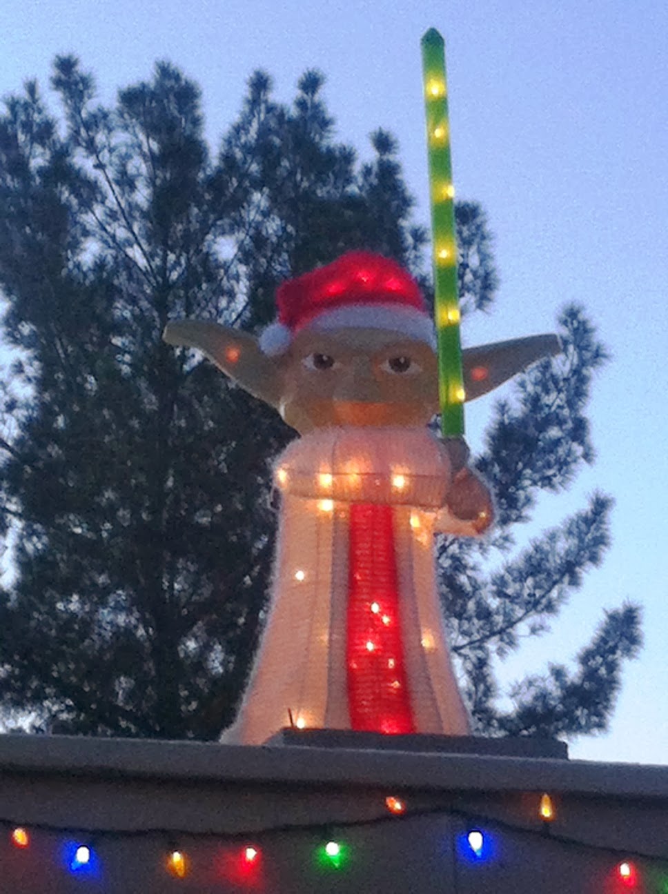 Tucson Daily Photo ~: December 2013