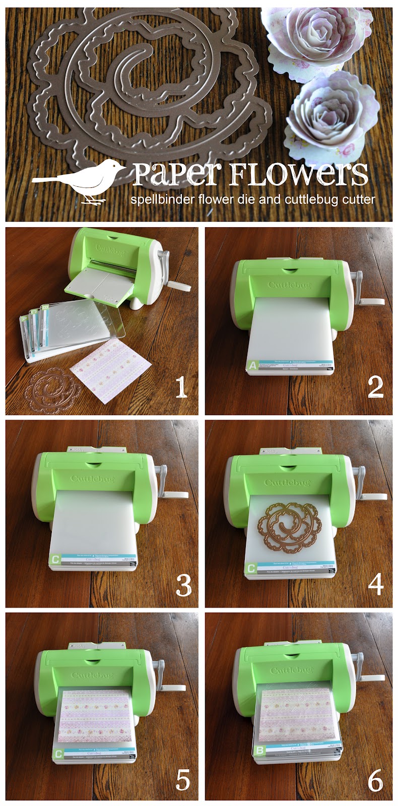 Lorrie Everitt Studio paper flowers using the spellbinder flower die