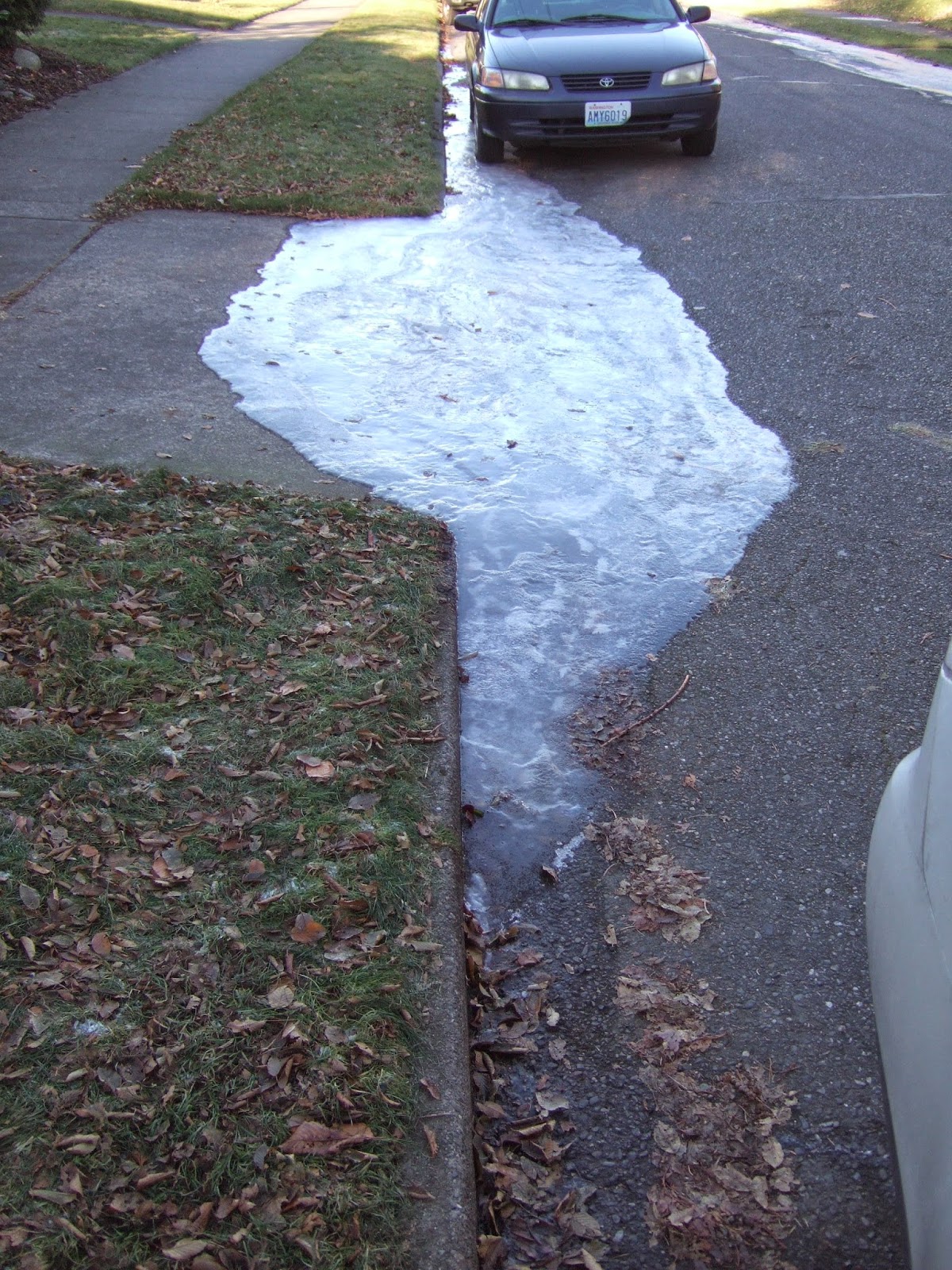 Freeze Is To Thaw As Lose Is To… Find Out! - 2jndy98