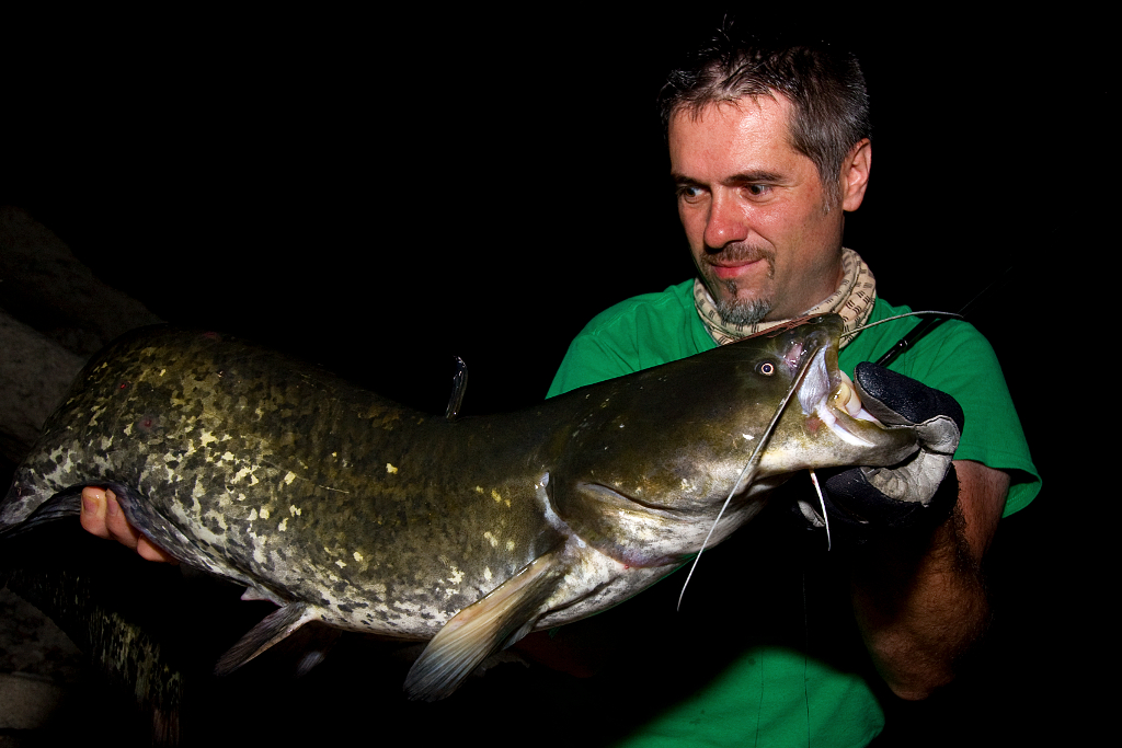 Fishing In Croatia (and in the neighbourhood) Night catfish sessions