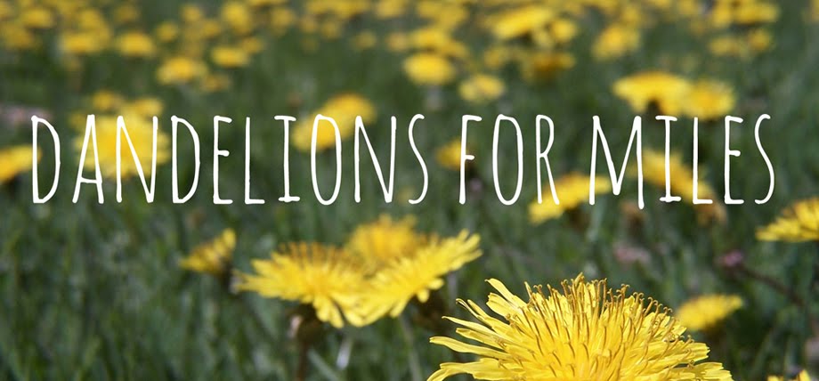 dandelions for miles