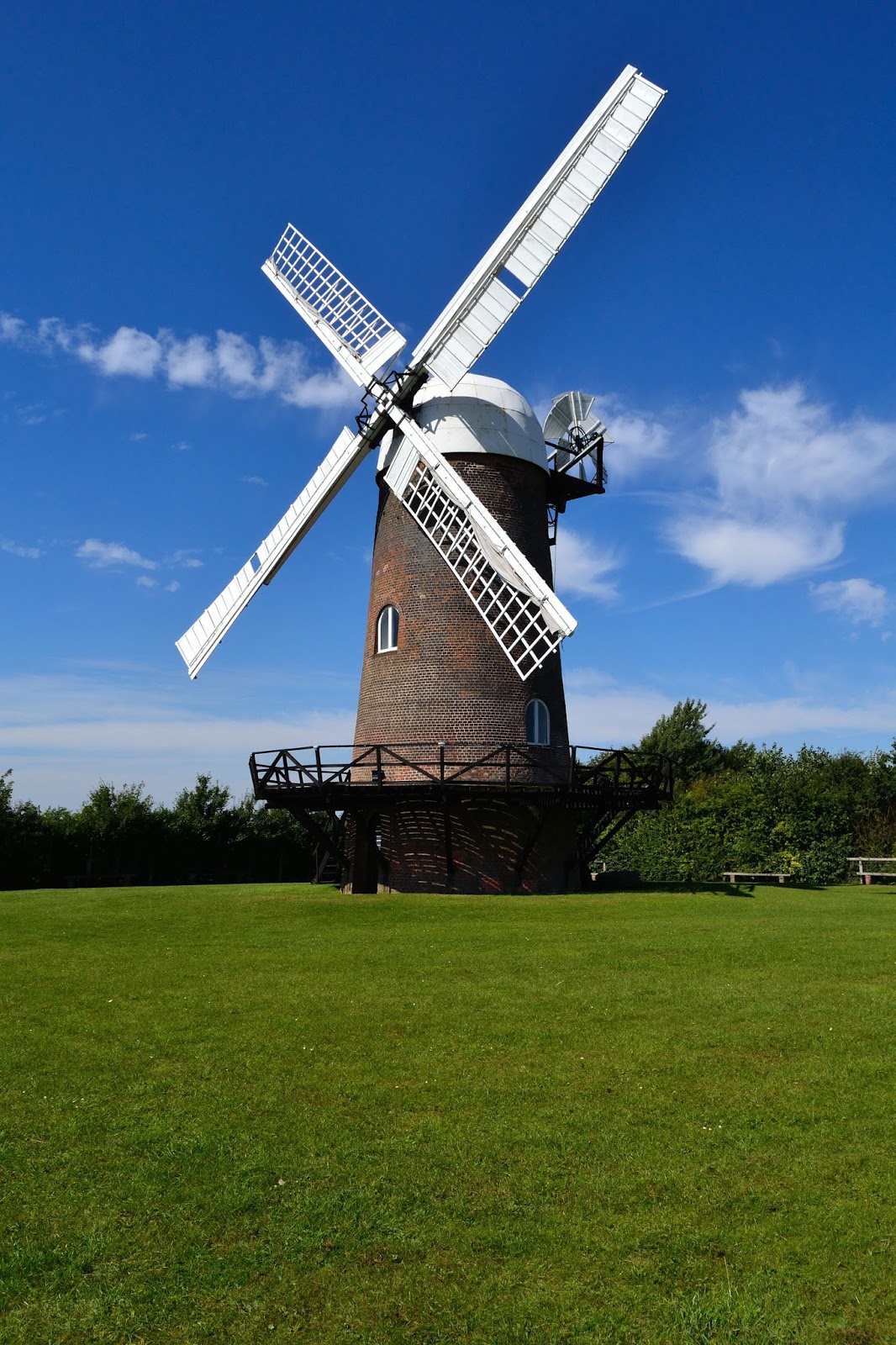 a bracelet of days Tilting at Windmills
