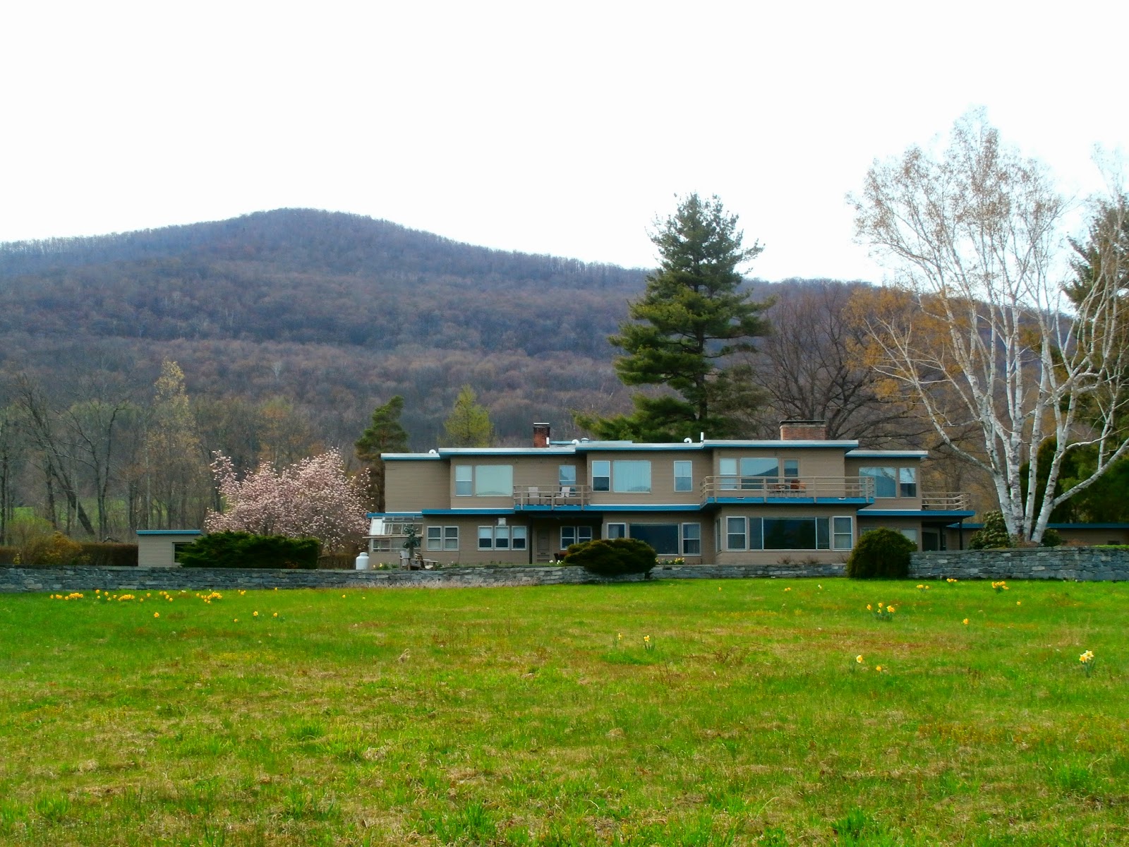 Walking Man 24 7 Williamstown(Field Farm/ Mt Hope Park/ Sheep Hill)