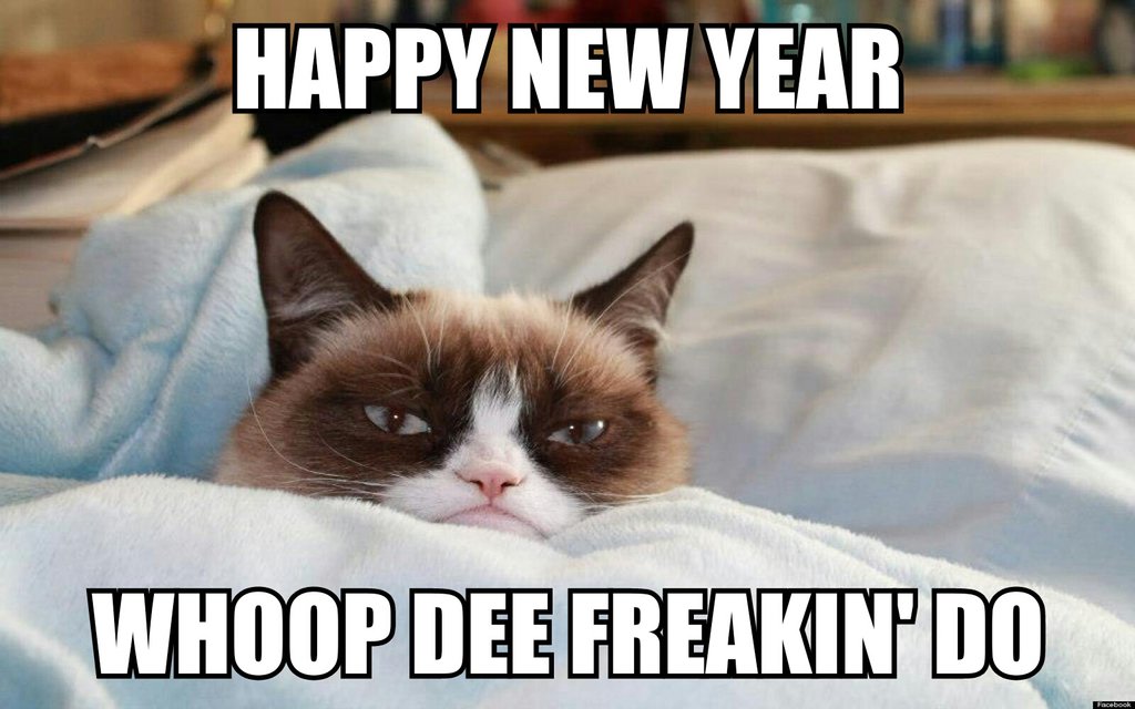 the_grumpy_cat__happy_new_year_____d_by_cartoonrockfan93-d709aa5.jpg