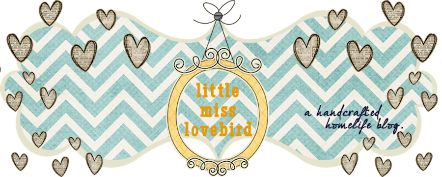 little miss lovebird