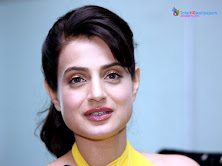 Amisha Patel hd wallpapers