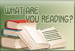 What Are You Reading? 8-24-12