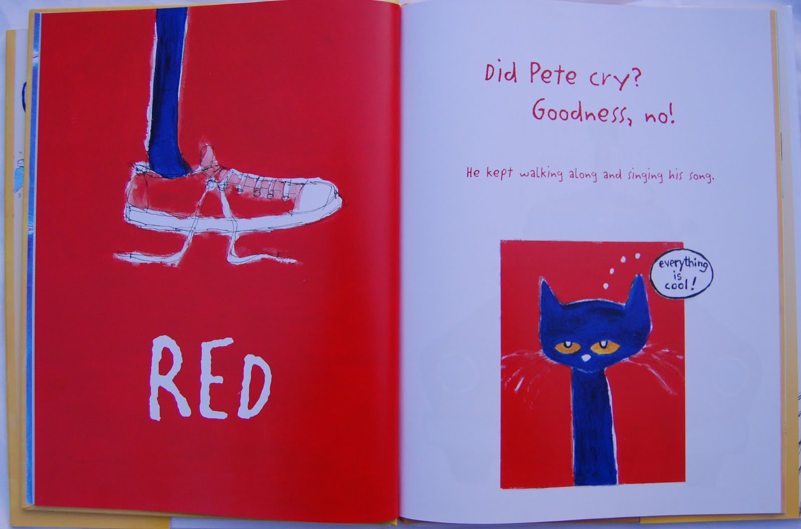 Picturebooks in ELT I love my white shoes