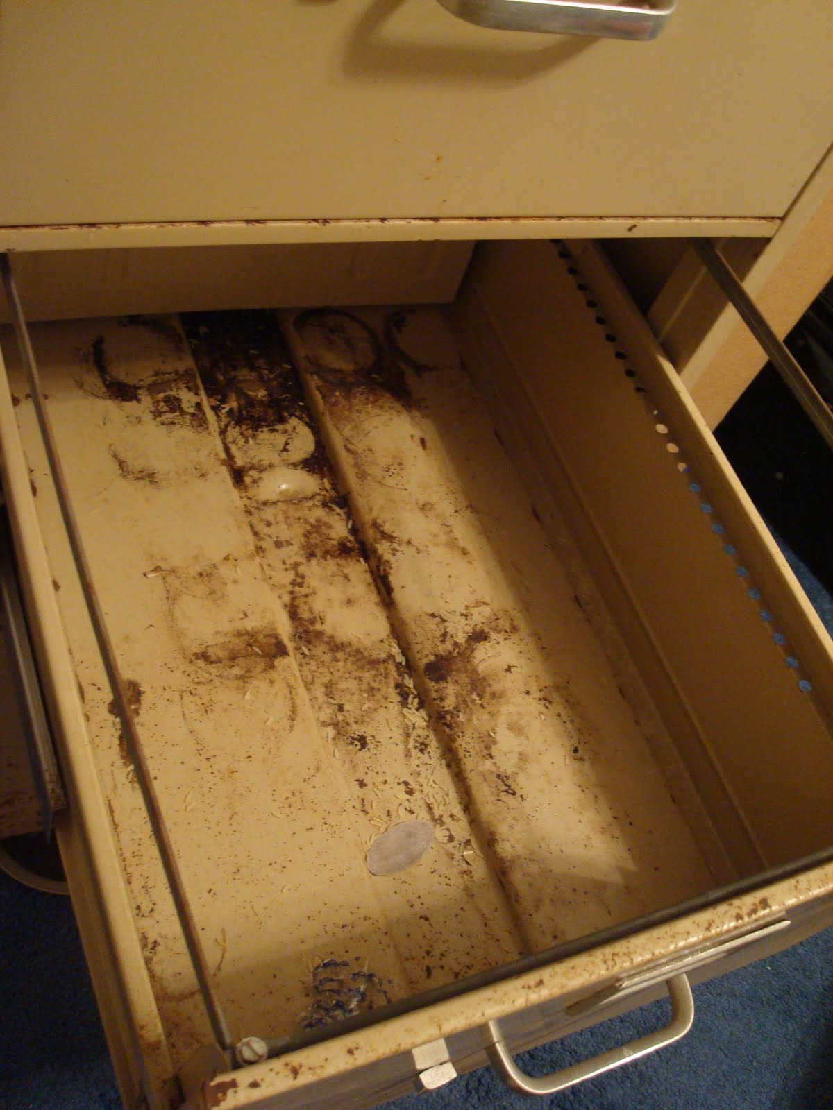 Decorating with CENTS Rusty File