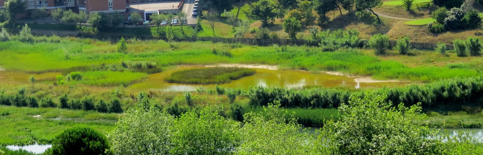 Iñurritza biotopoa / bloga