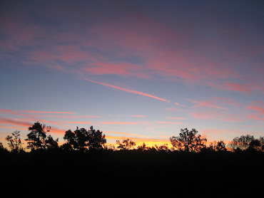 TARDE DE OTOÑO